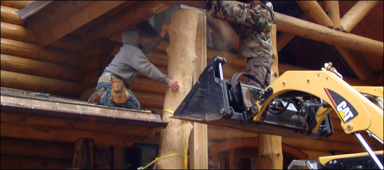 Log Home Log Replacement  Geauga County, Ohio